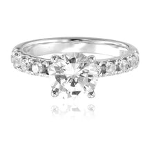 Bailey (Diamond-Alternative)