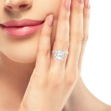 Taylor (Diamond-Alternative)